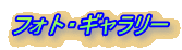 フォト・ギャラリー